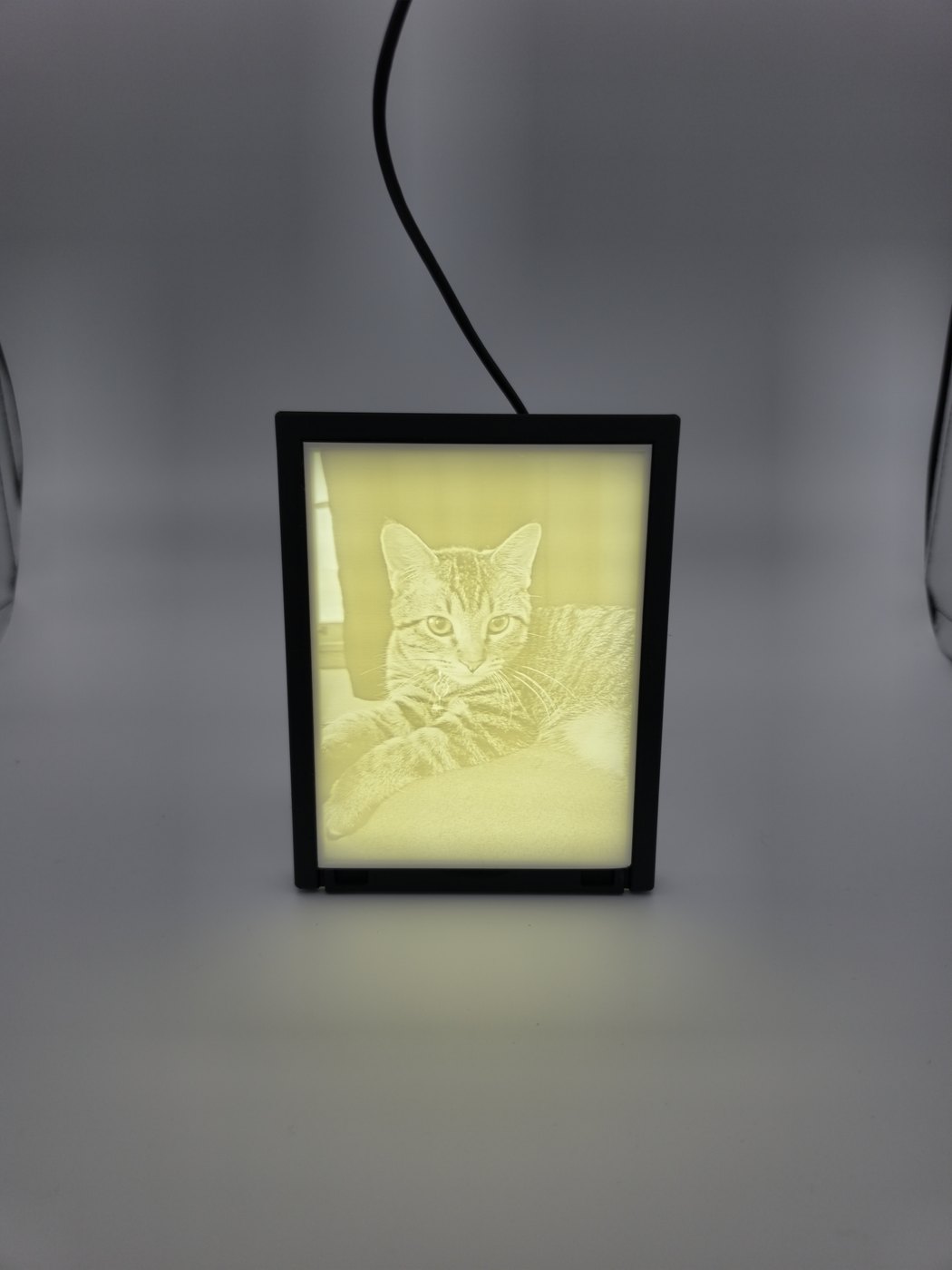 Framed photo lithophane of a cat with the backlight on, glowing even in a bright room